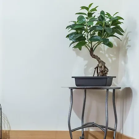 Διαμέρισμα Tpc - Bonsai In Red *